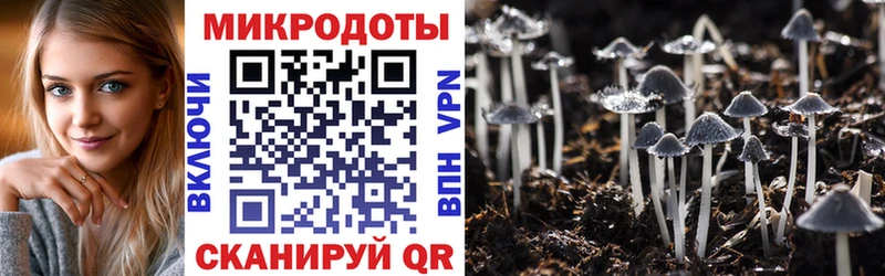 Псилоцибиновые грибы GOLDEN TEACHER  сайты даркнета состав  Губаха 